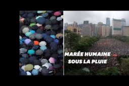 À Hong Kong, marée de parapluies dans les rues contre Pékin