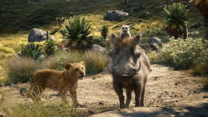 Le Loup Et Le Lion En Streaming Le roi lion en streaming sur Canal+