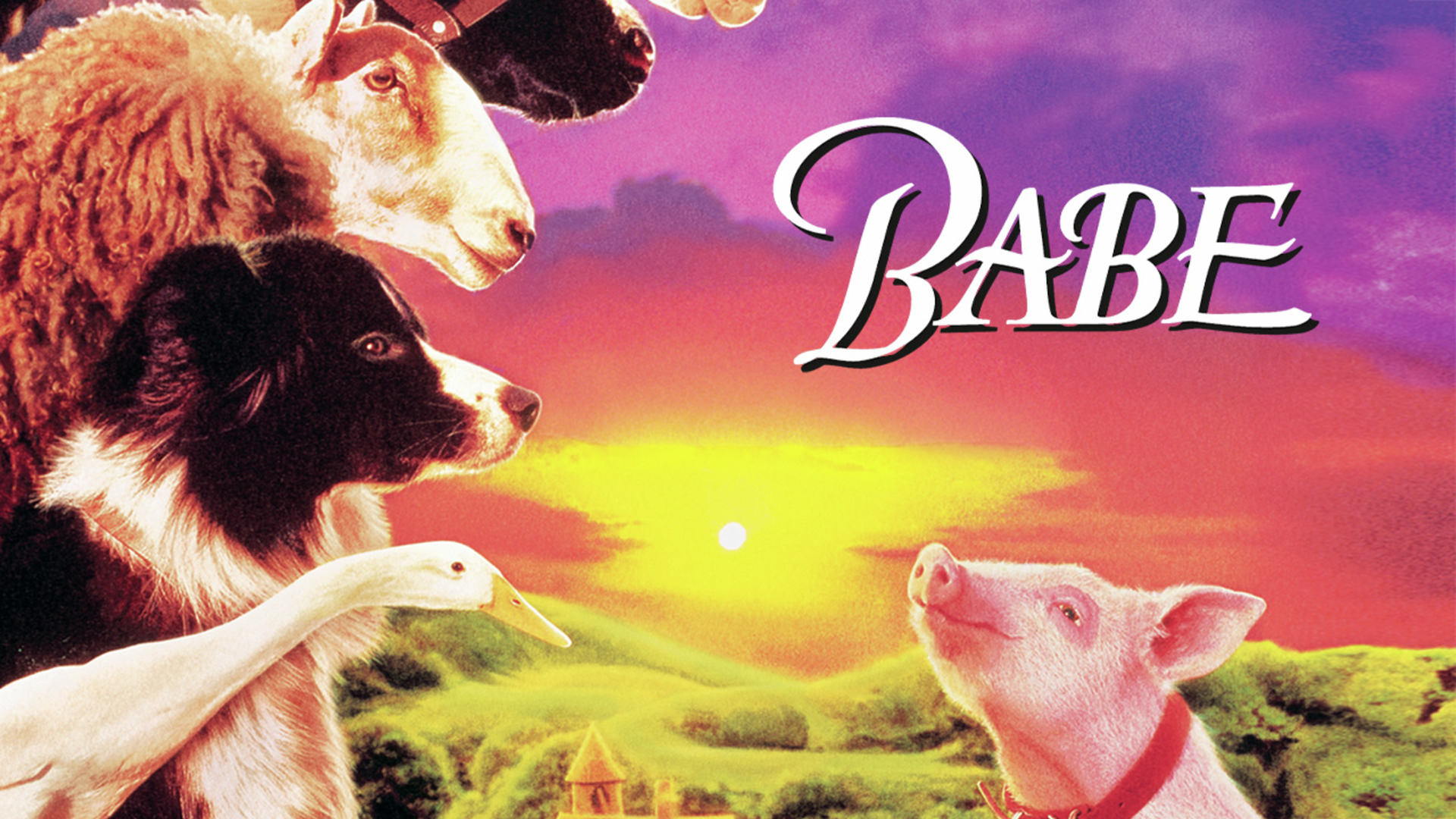 TÉLÉCHARGER BABE LE COCHON DEVENU BERGER GRATUITEMENT DEVENU LE TÉLÉCHARGER GRATUITEMENT BERGER COCHON BABE