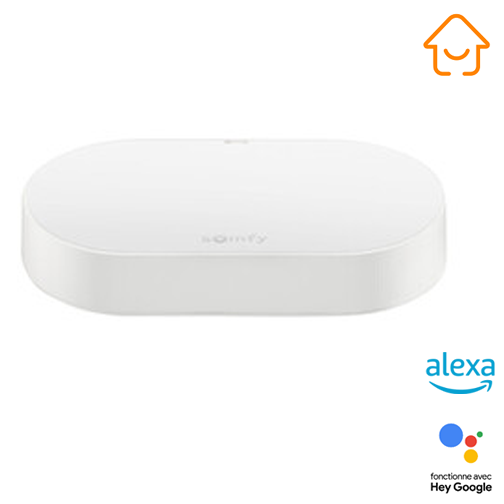 Kit de connectivité Somfy