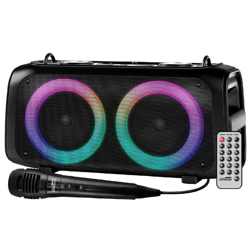 Enceinte Ledwood Blaster 100