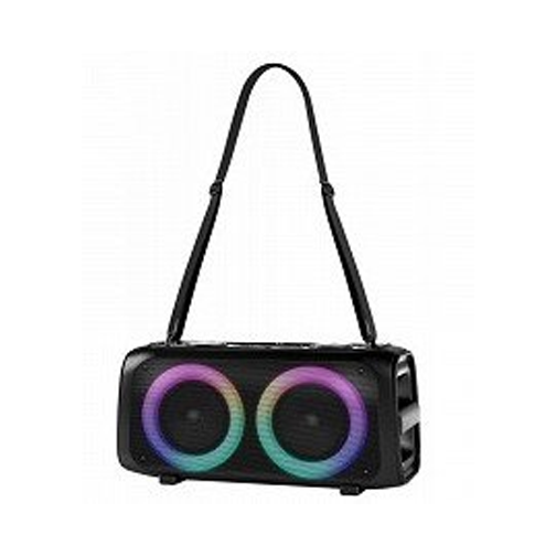 Enceinte Ledwood Blaster 100