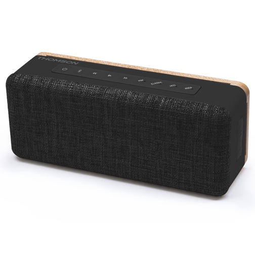 Enceinte Thomson WS04