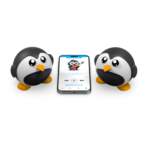 Pack 2 enceintes sans fil Echo Pingz