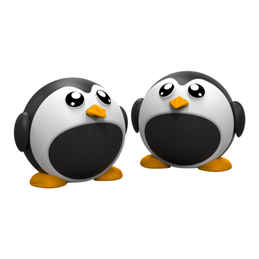 Pack 2 enceintes sans fil Echo Pingz