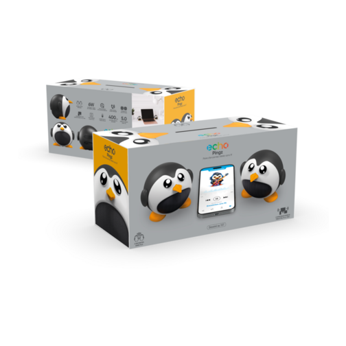 Pack 2 enceintes sans fil Echo Pingz