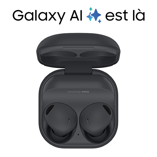 Ecouteurs Samsung Galaxy Buds2 Pro anthracite
