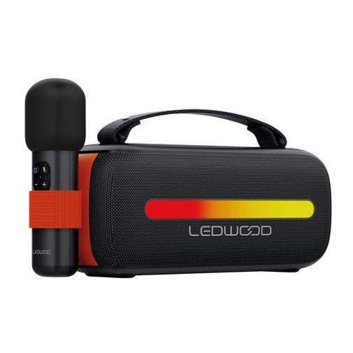 Enceinte LEDWOOD ACCESS130 noire