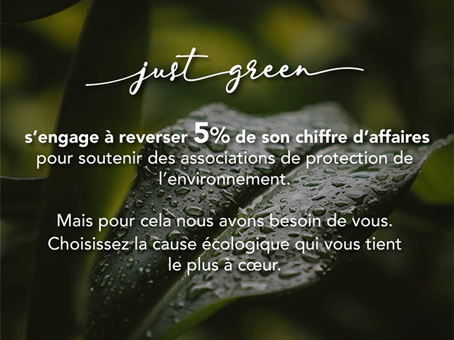 Câble de charge Just Green USB-A vers USB-C 1.2 mètre