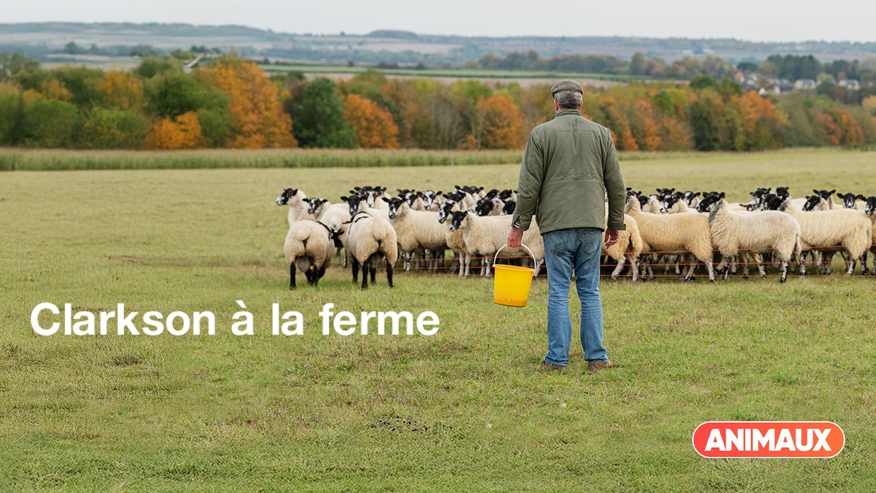 Clarkson à la ferme