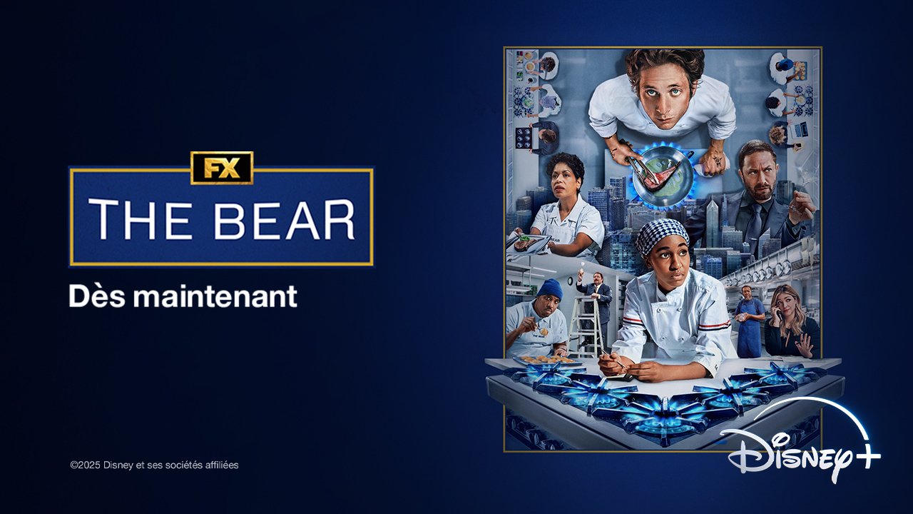 The Bear