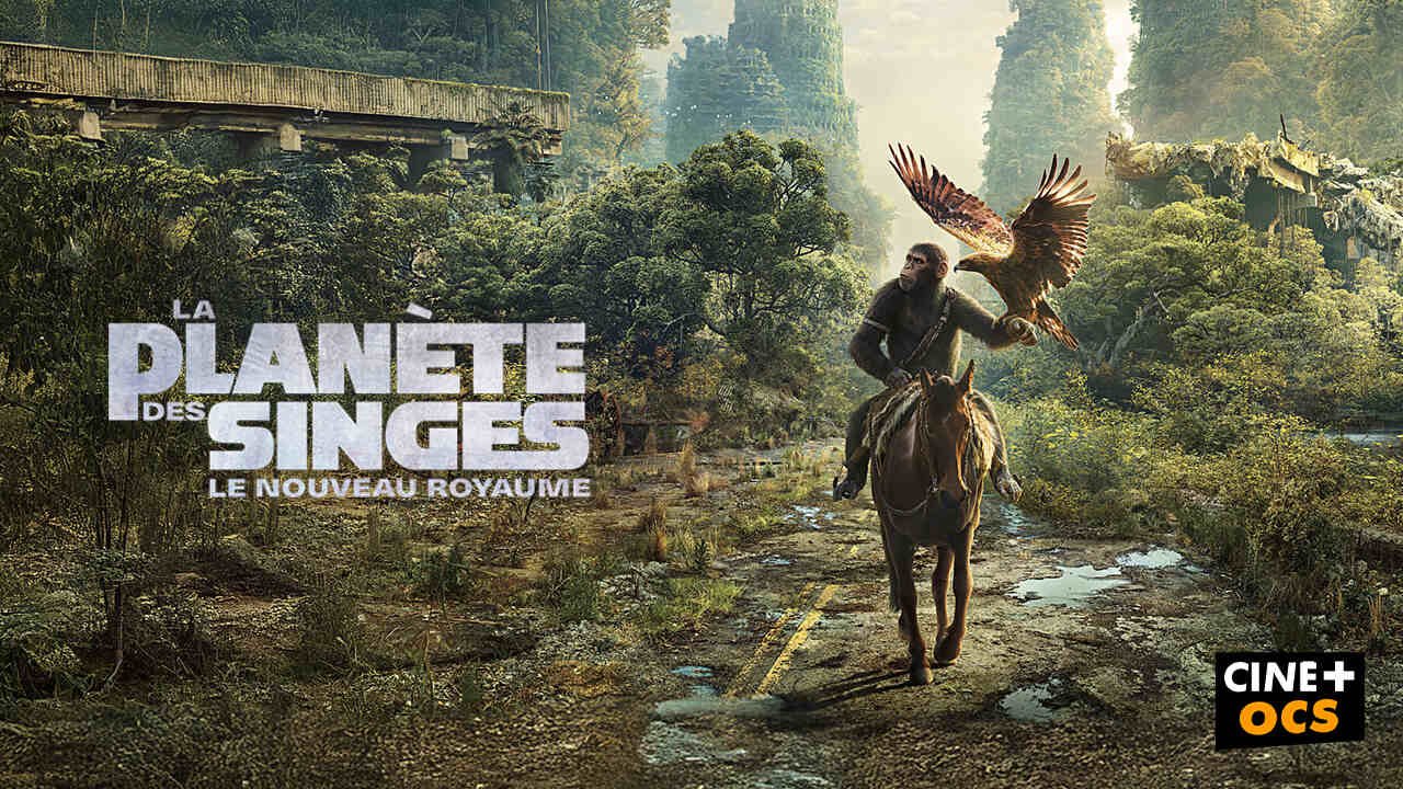 La planète des singes