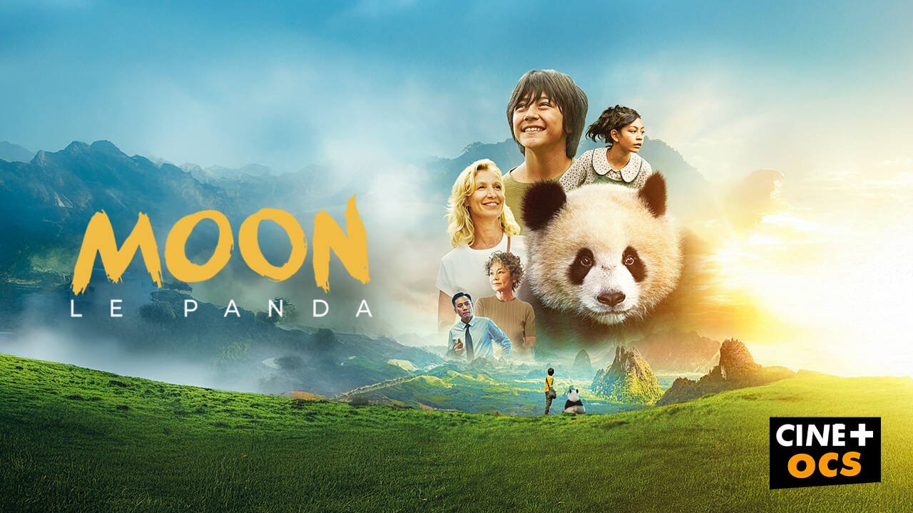 Moon le panda