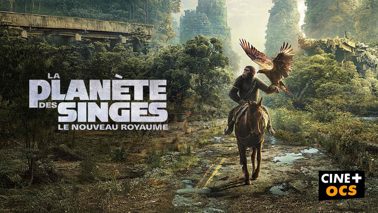 La planète des singes