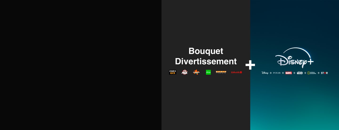 Bouquet Divertissement et Disney+
