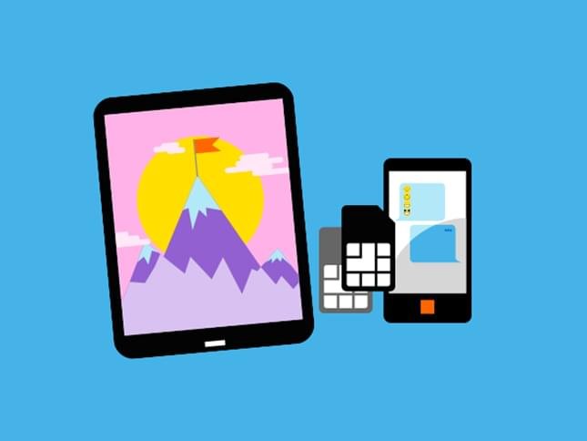 multi sim