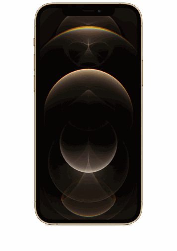 iphone 12 pro or
