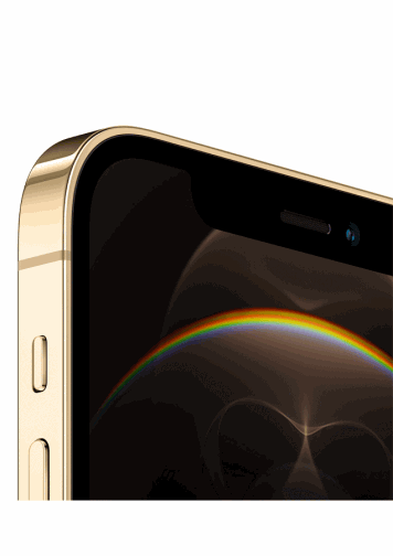 iphone 12 pro or