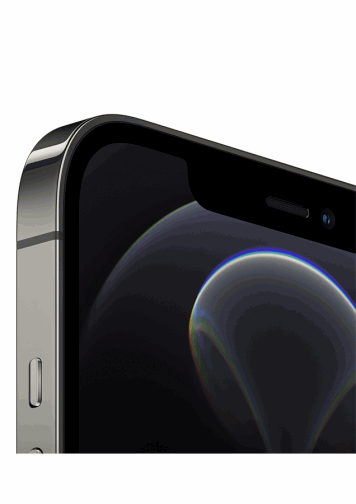 vue iPhone 12 Pro Max gris coin
