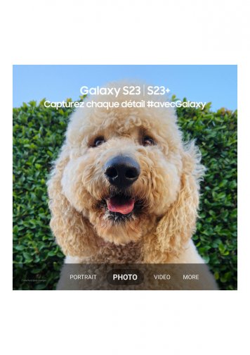 Samsung Galaxy S23 Rose 128Go Reconditionné Parfait Etat