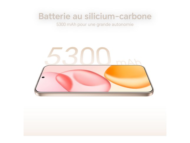 Autonomie Prolongée et Performances Élevées