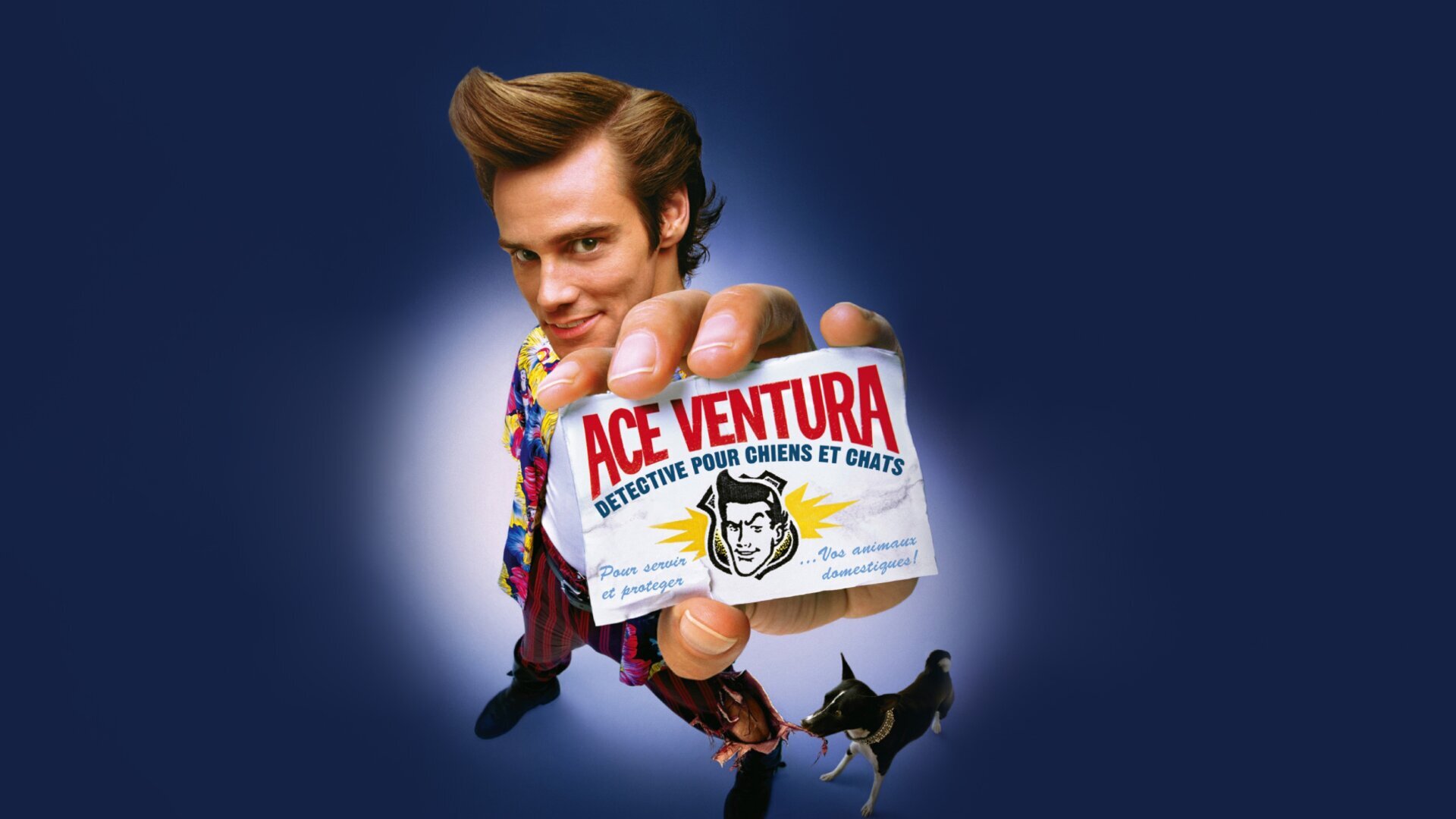 Ace Ventura, détective pour chiens et chats