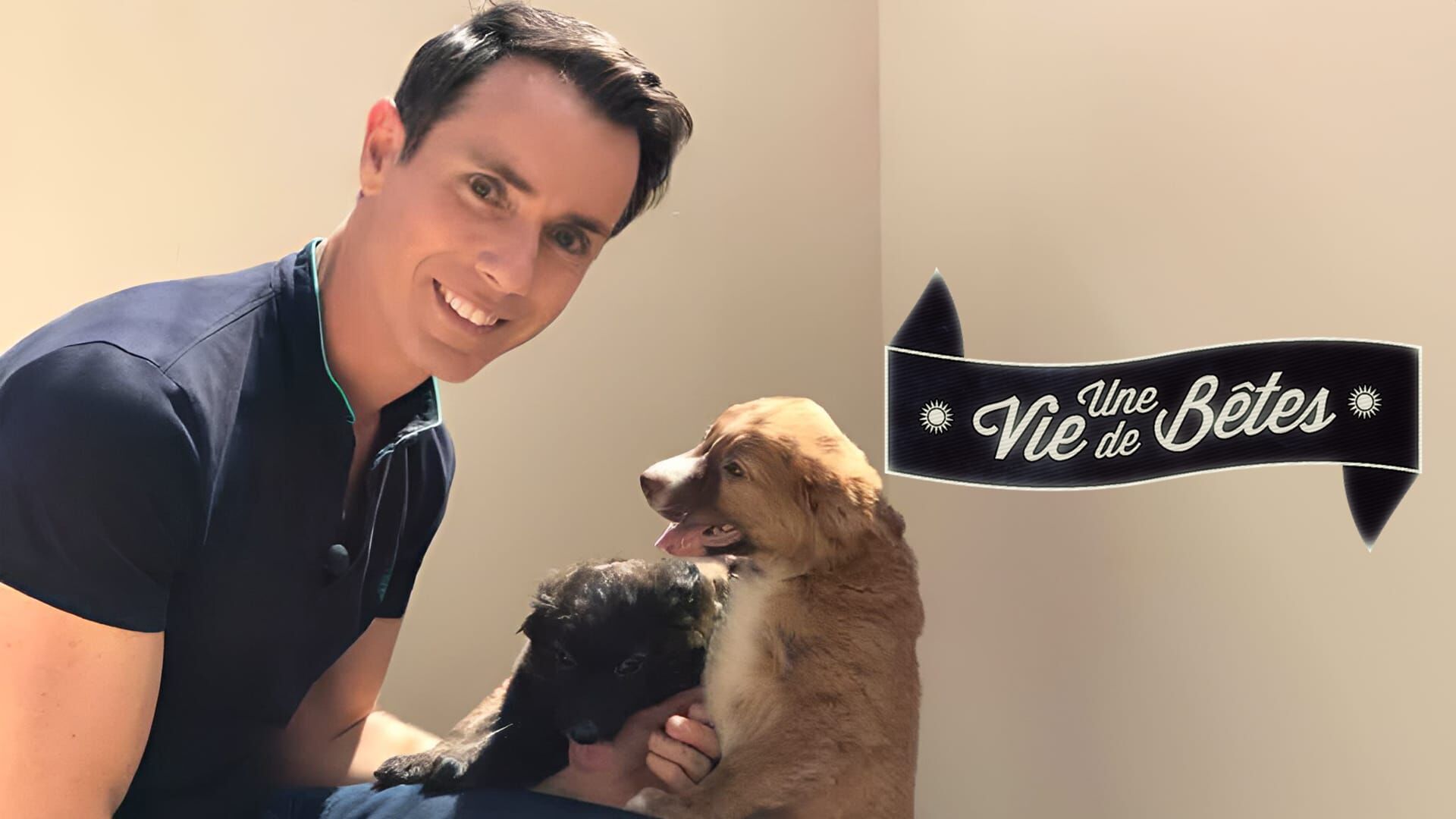 Je veux devenir soigneur animalier