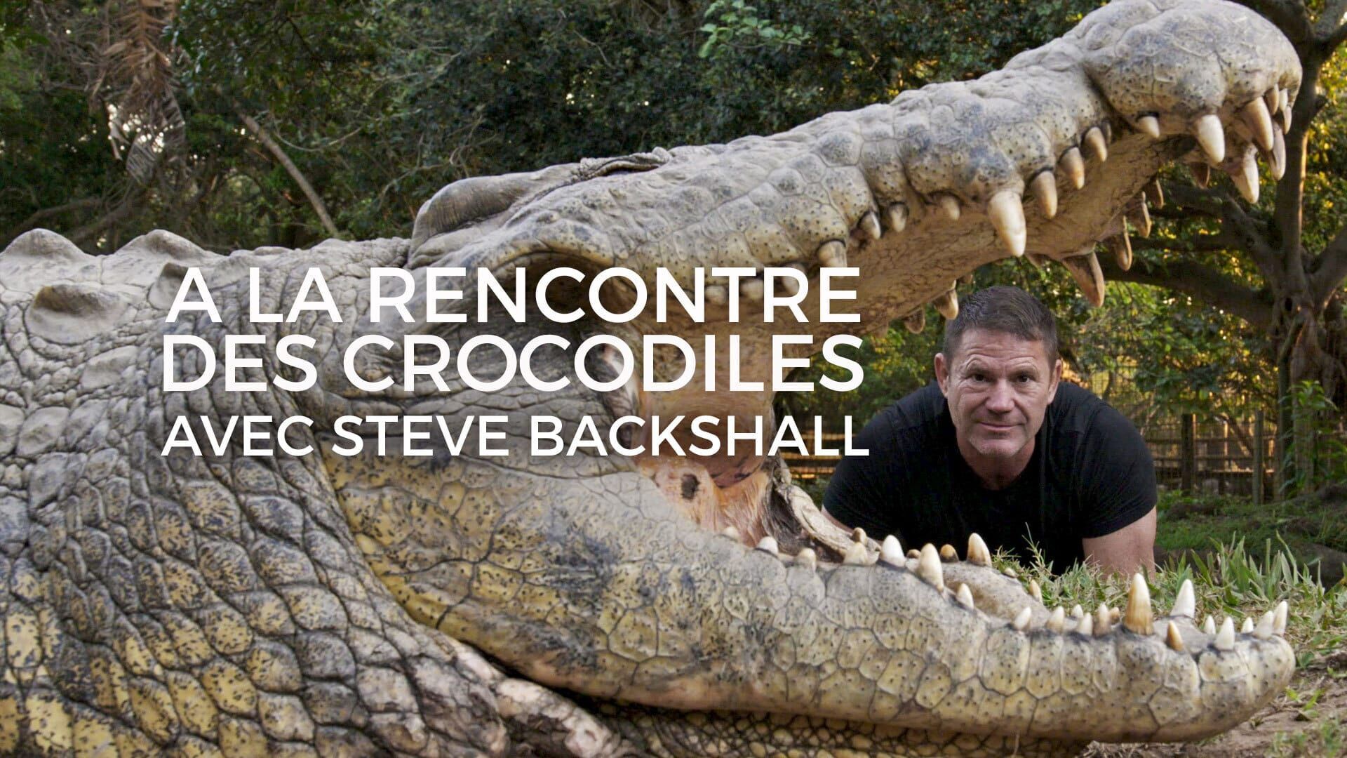 A la rencontre des crocodiles avec Steve Backshall