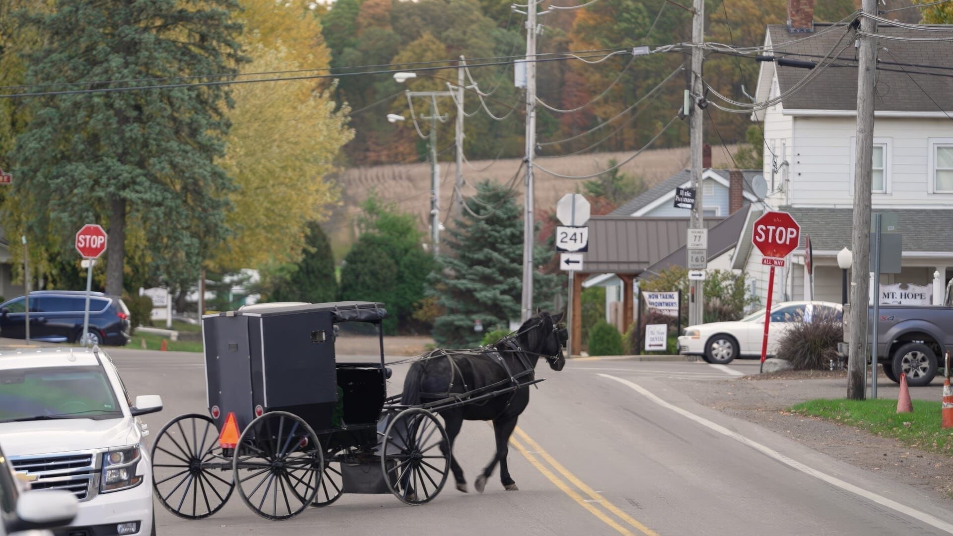 The World of the Amish - Between Tradition and Temptation