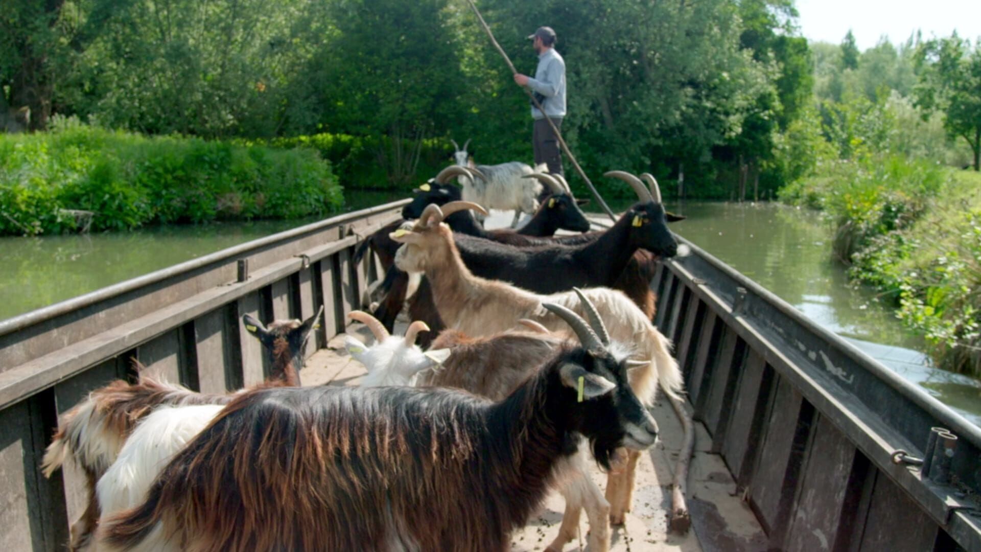 De la Somme à la frontière belge