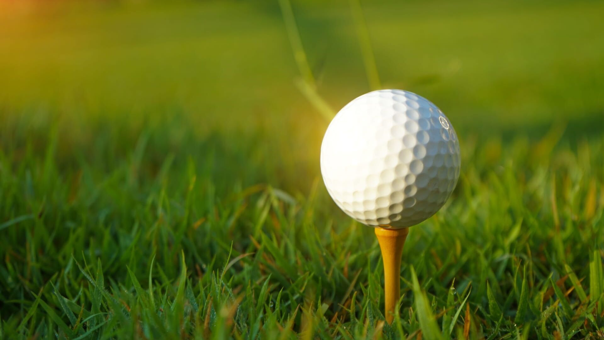 Les vitamines de l'hiver