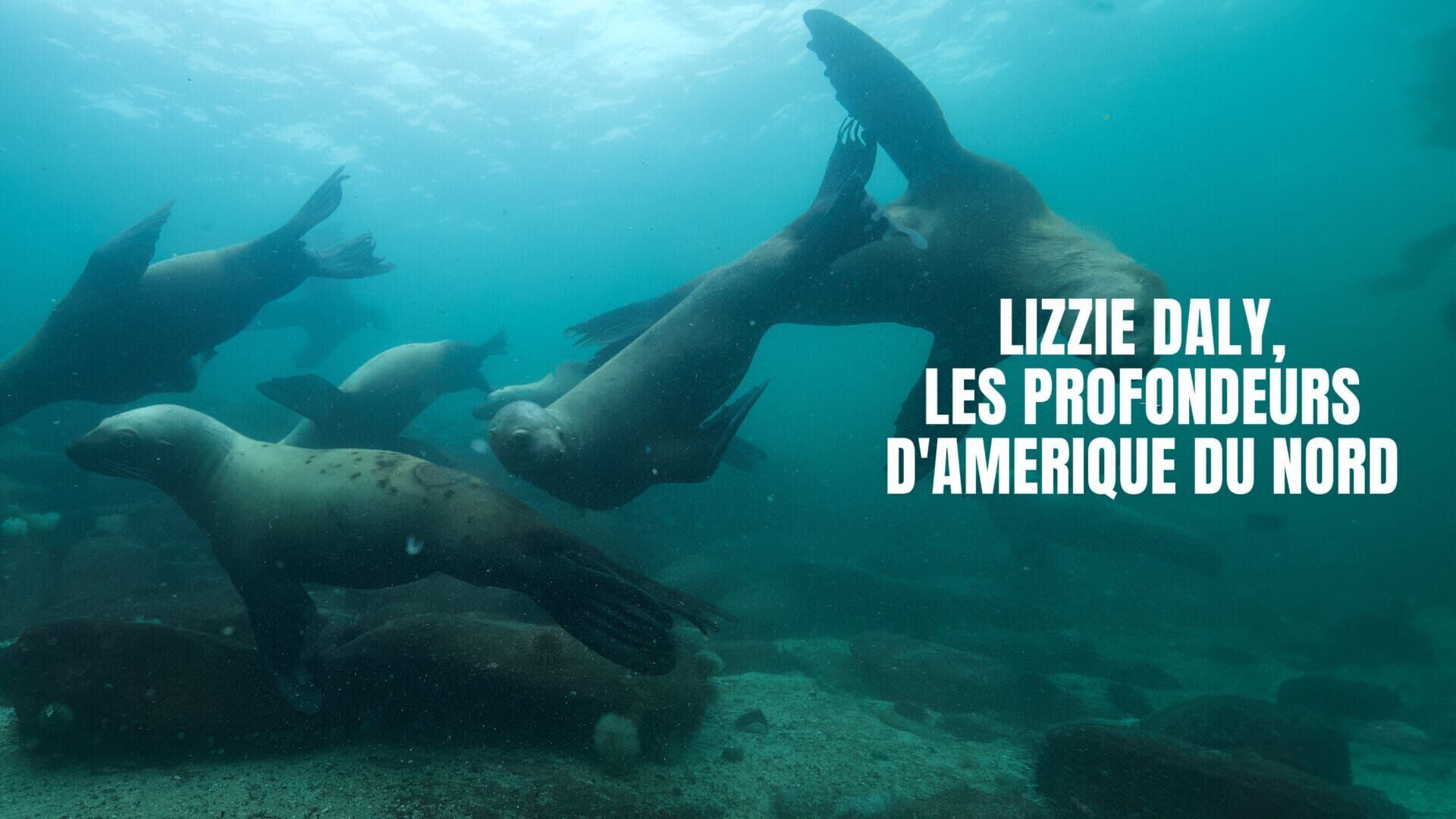 Les saisons sur le littoral