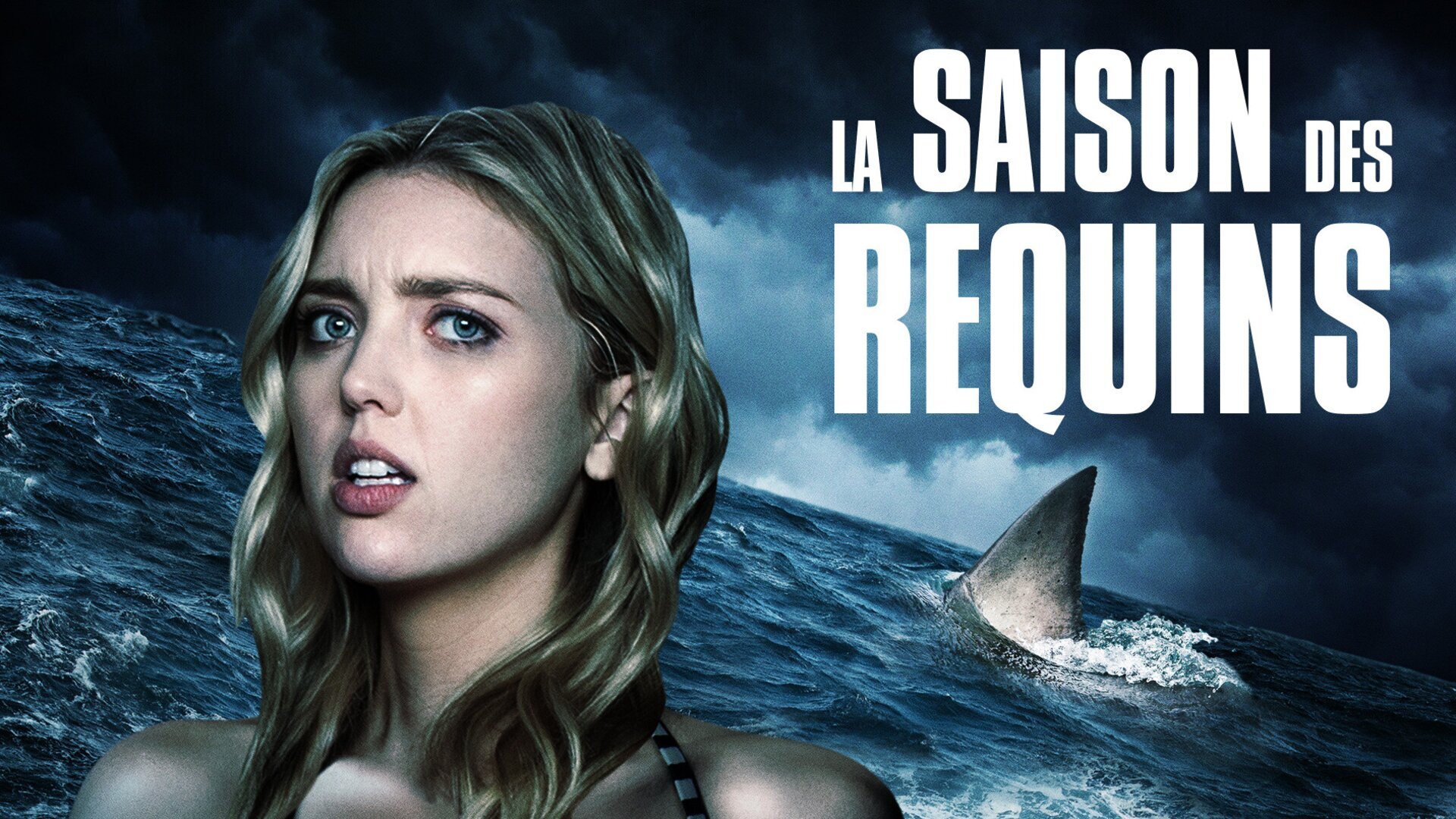 La saison des requins