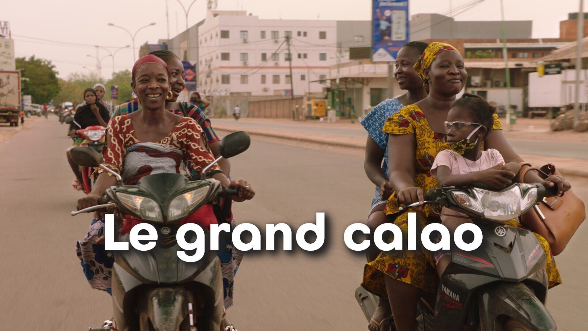 Le grand calao