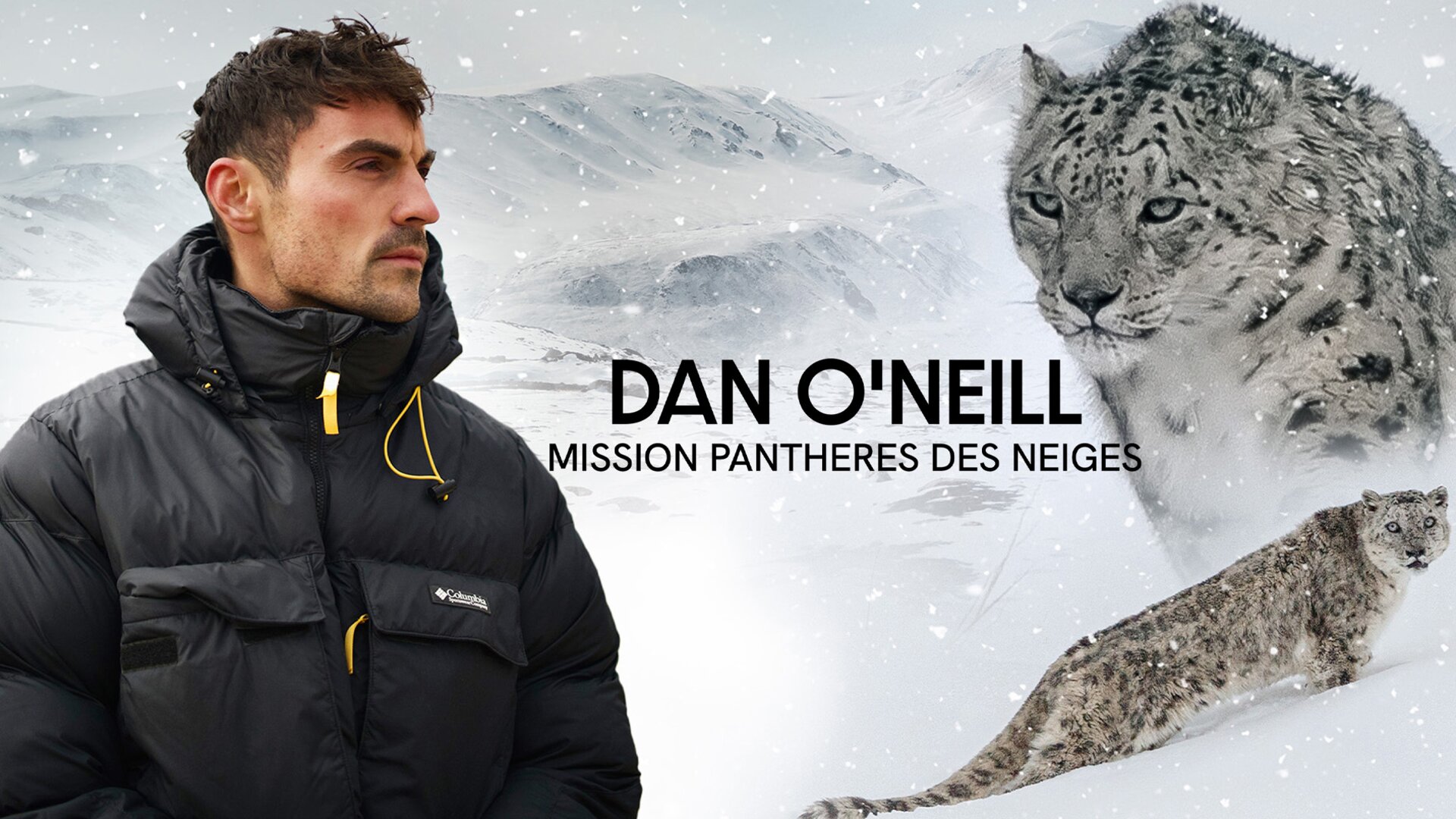 Dan O'Neill : mission panthères des neiges