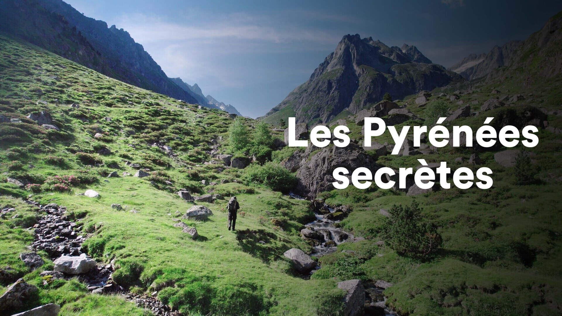 La genette, la discrète du piémont