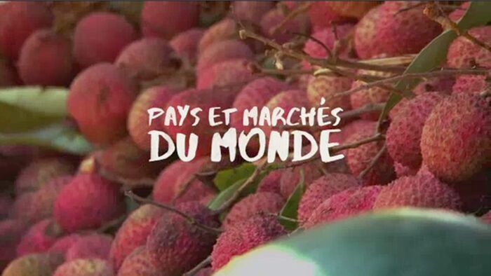 Mayotte : Mamoudzou