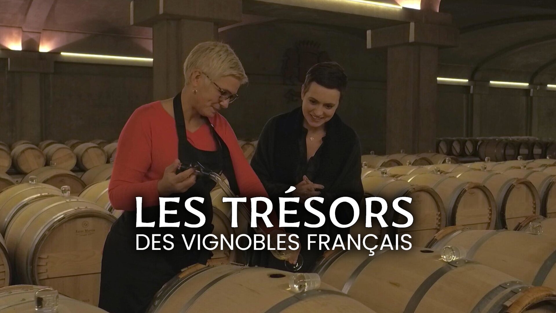 Les trésors des vignobles français