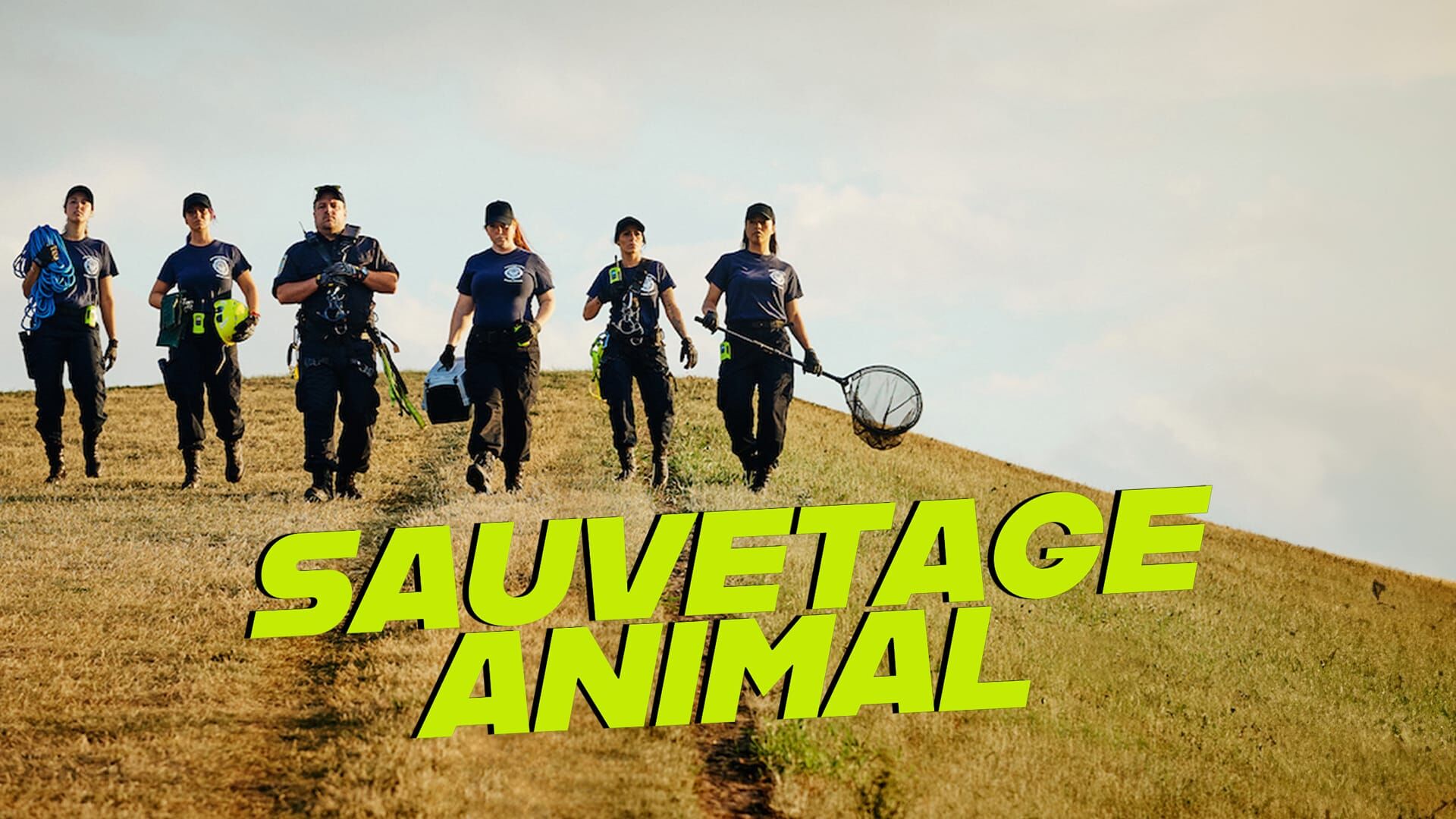 Sauvetage animal