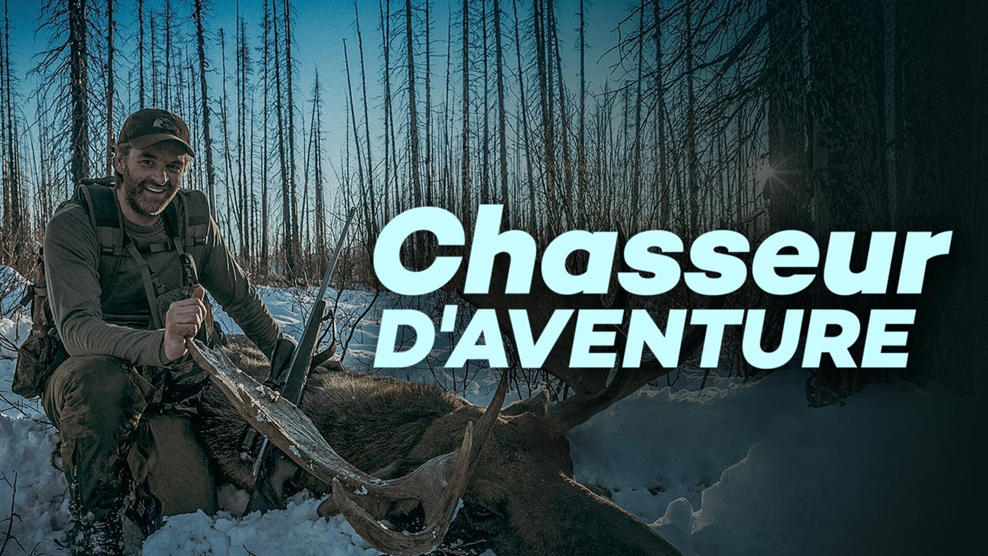 South Australian Red Stag in the Roar