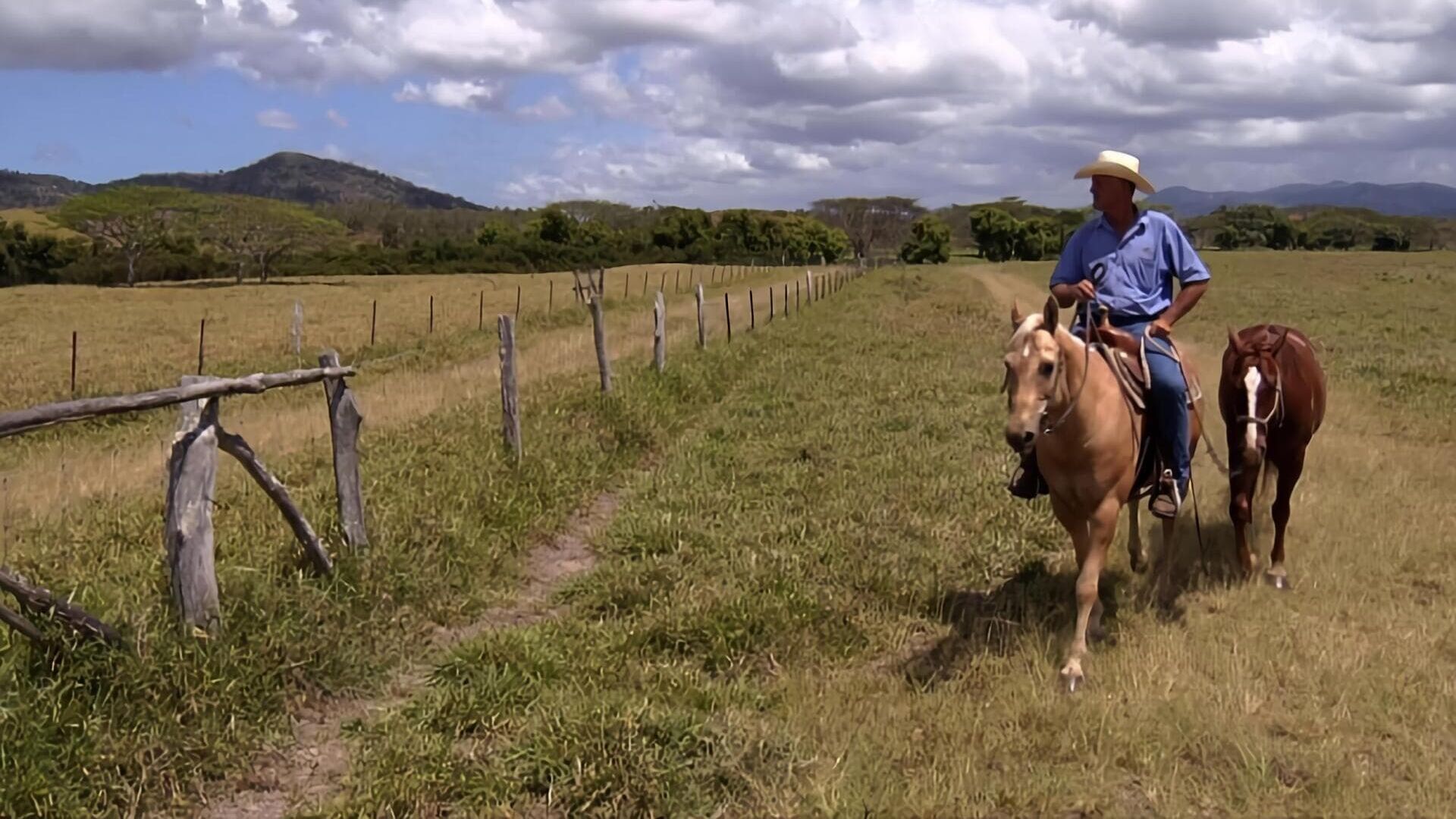 Western dans le Pacifique Sud