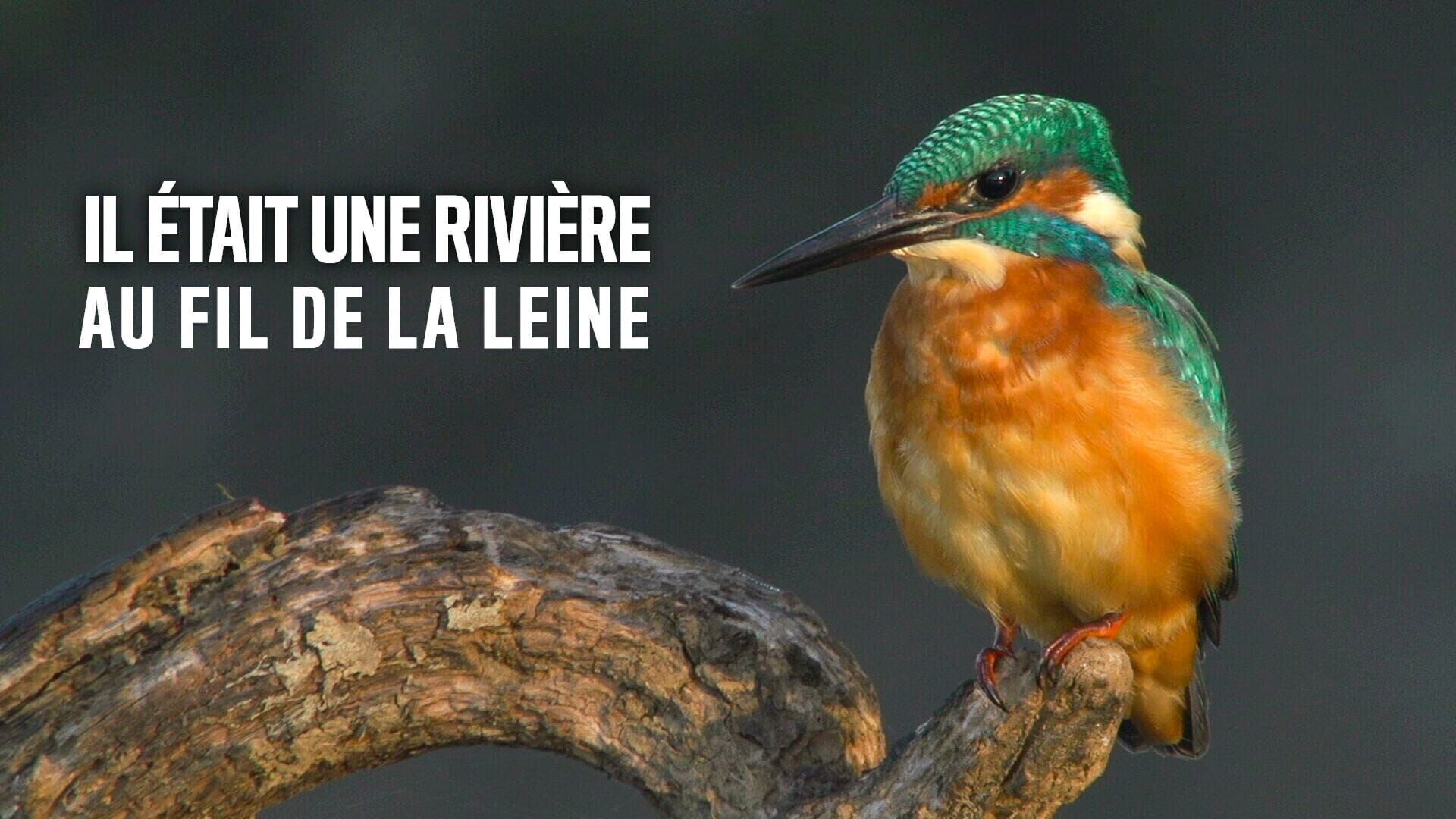 Il était une rivière - Au fil de la Leine