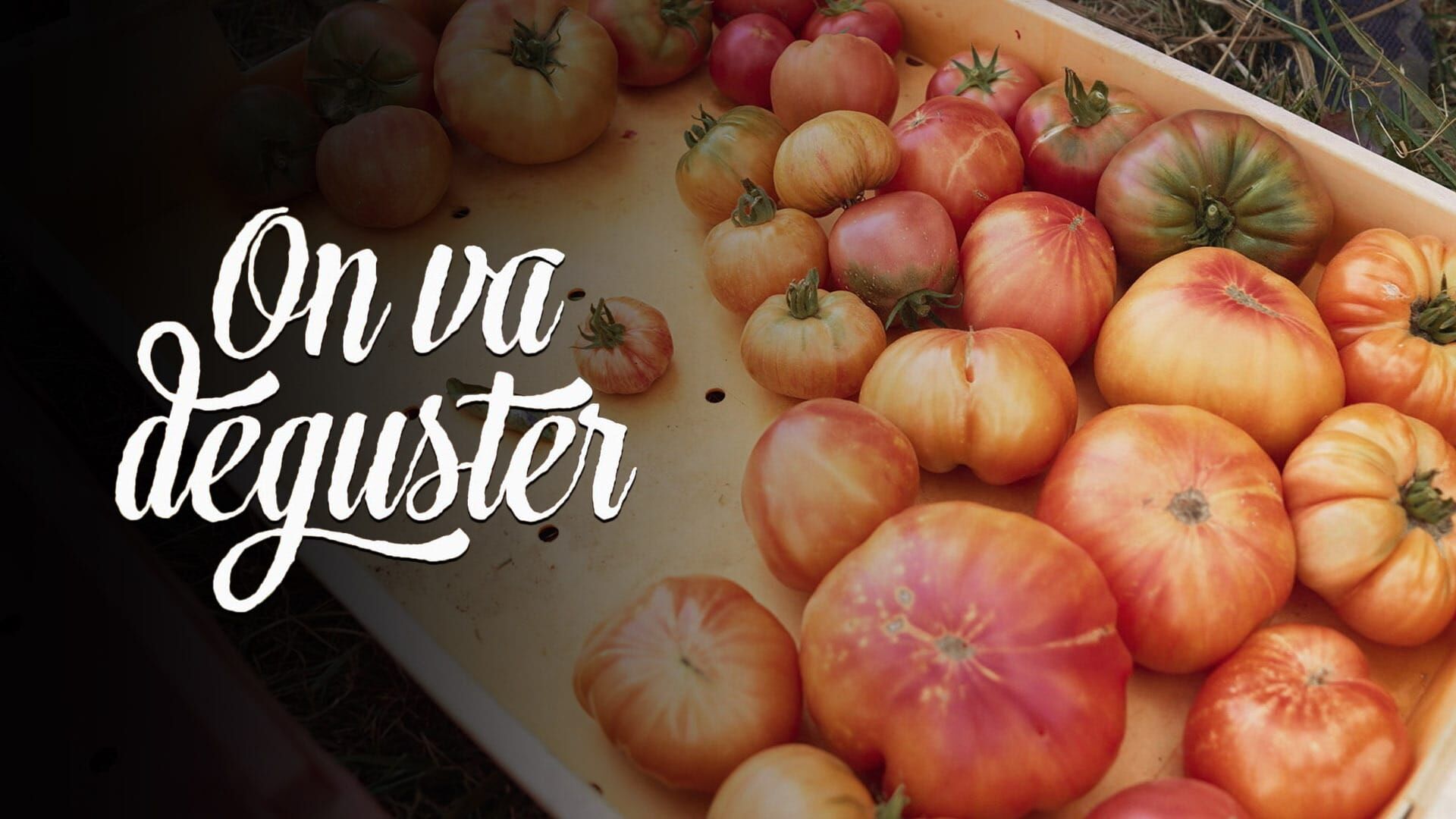 Retrouver le goût de la tomate