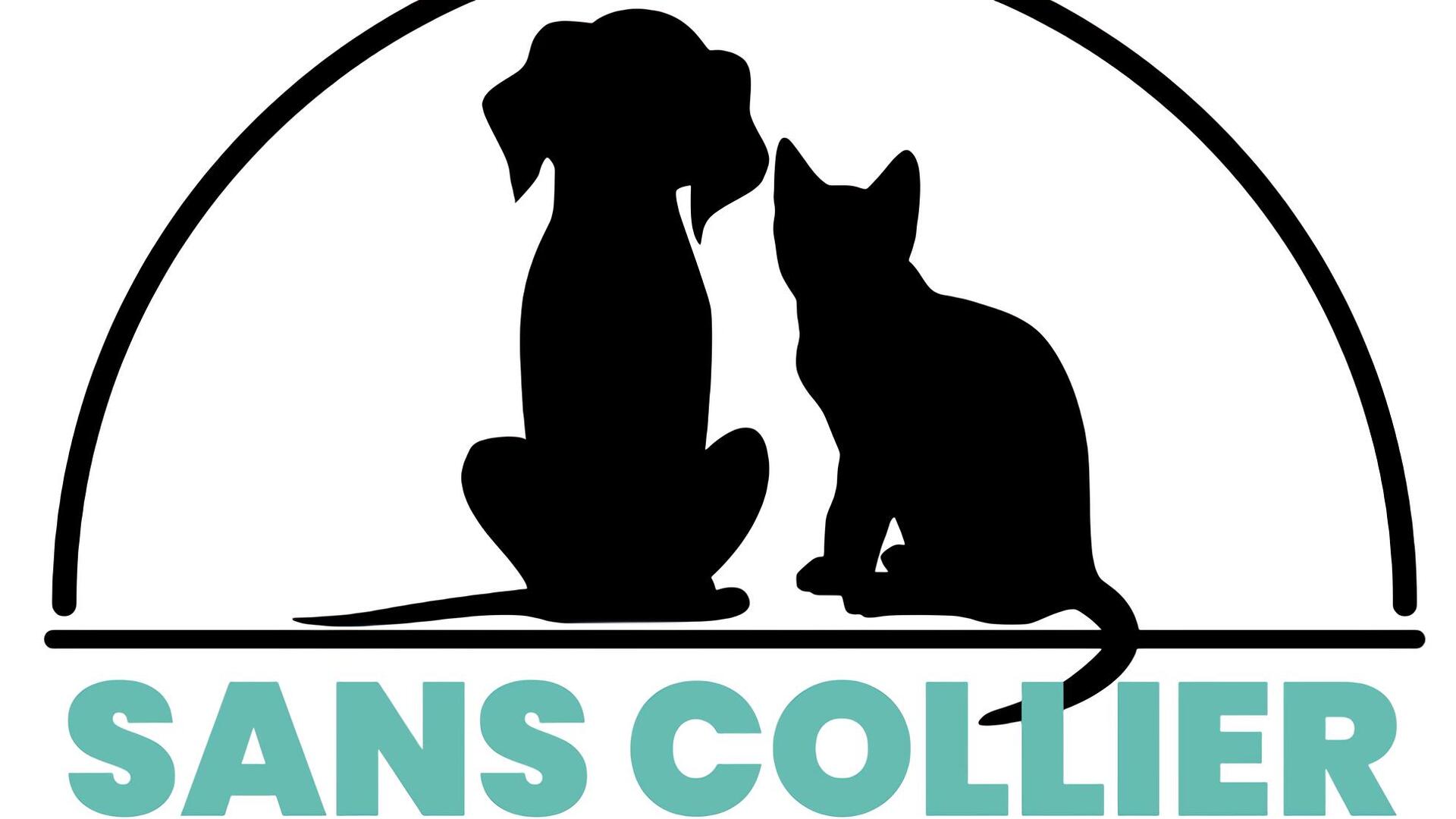 Mission adoption