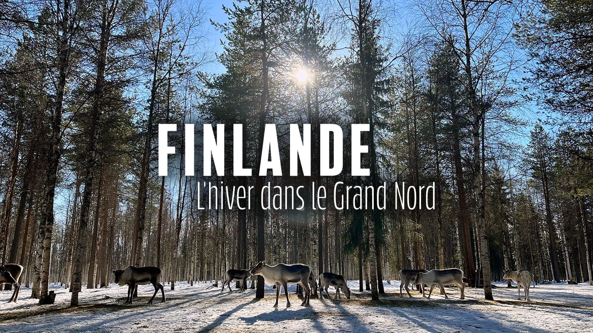 Finlande : l'hiver dans le Grand Nord