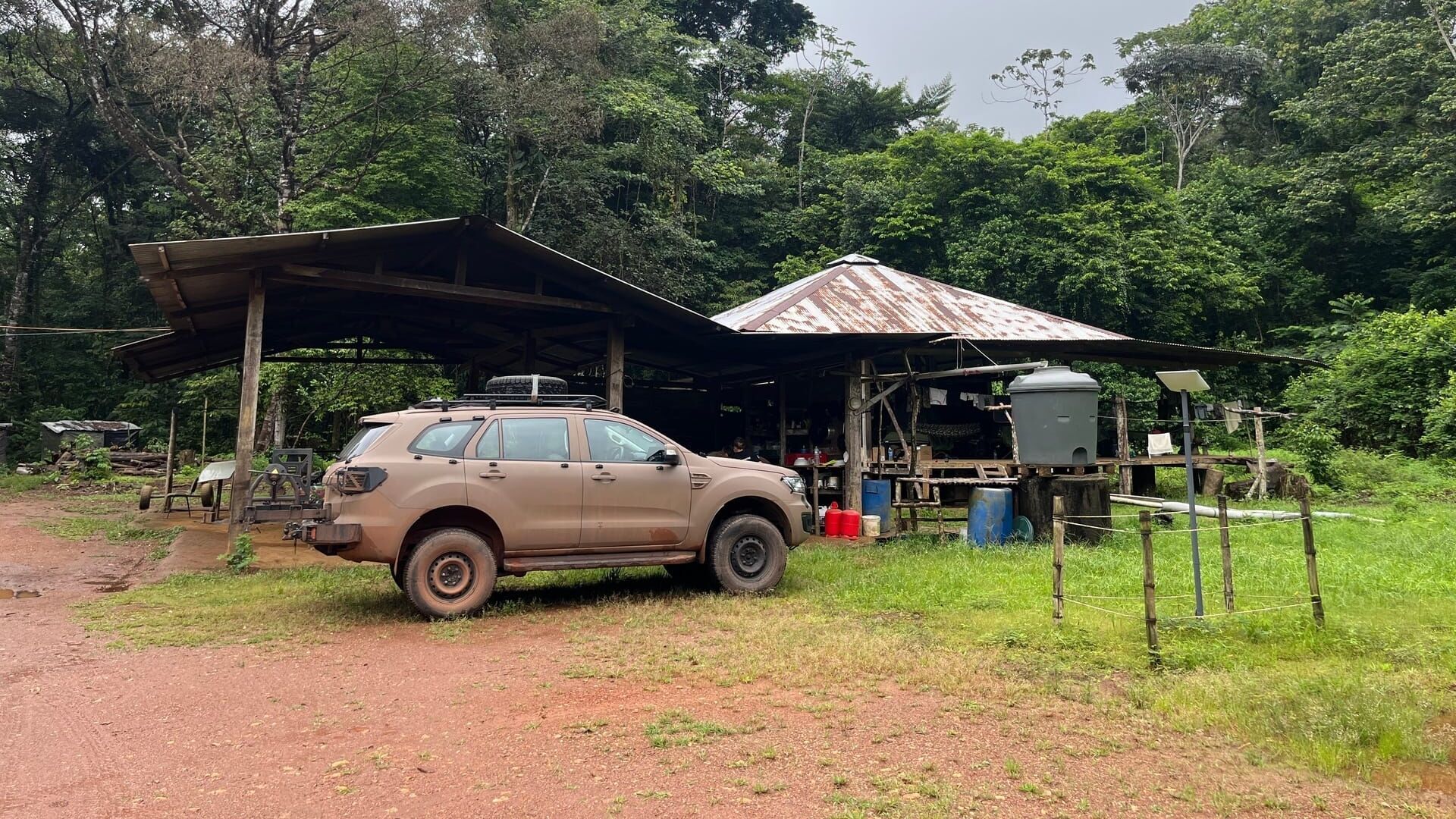 Rainforest Training Hell