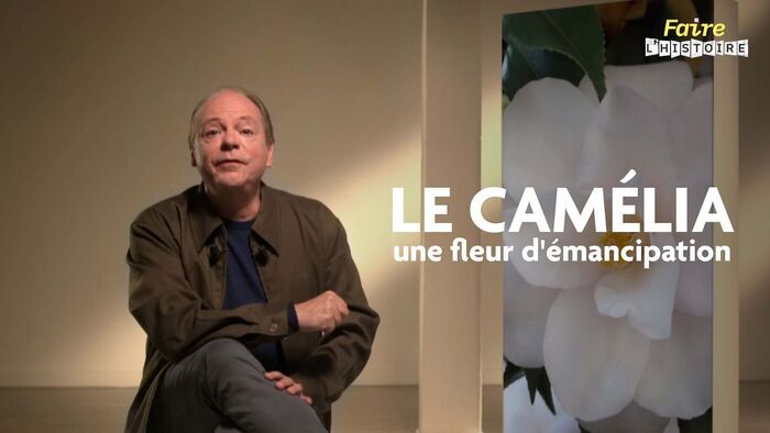 Le camélia, une fleur d'émancipation