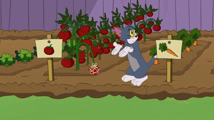 Le potager