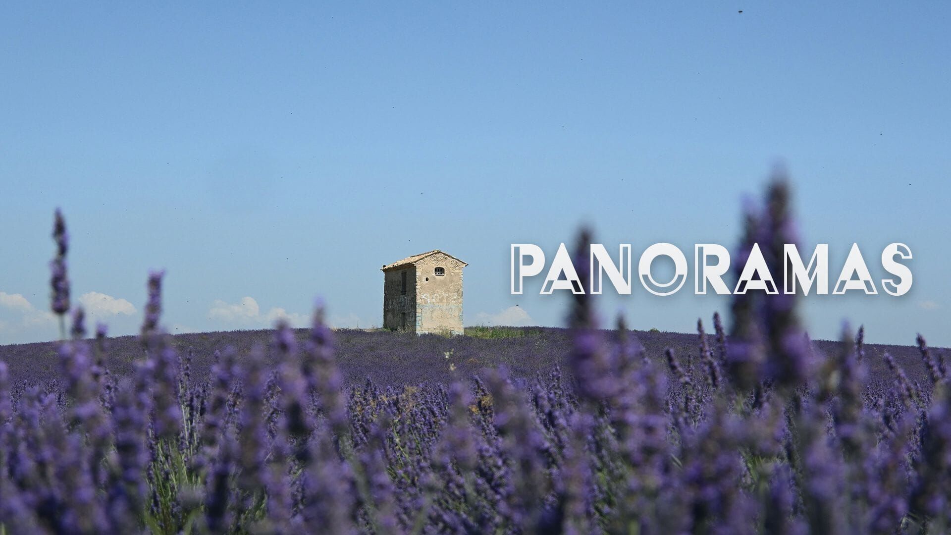 Provence : Magie des couleurs