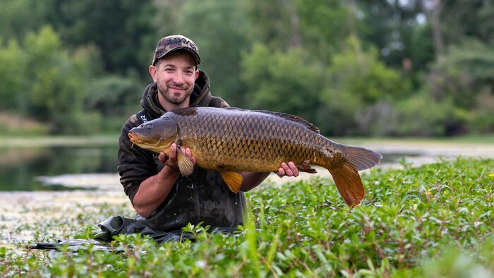 La rivière auc carpes noires